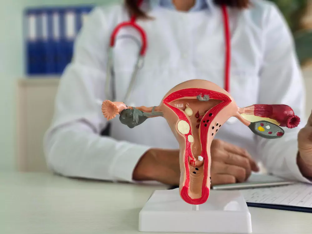 Gynecology & Obstetrics